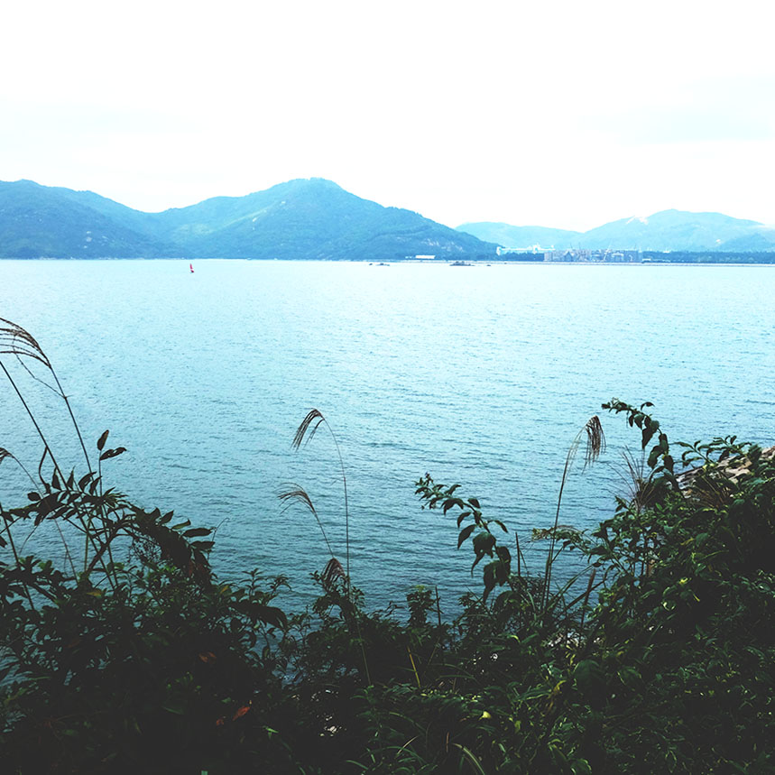 Paloma Bay